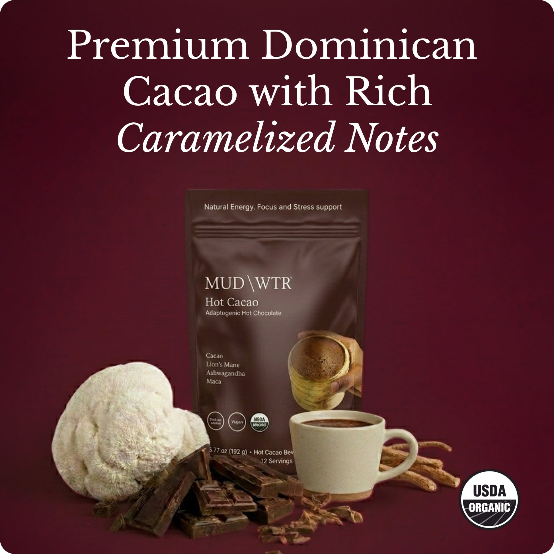 hot-chocolate-t9 Hot_Chocolate_Image_01.jpg