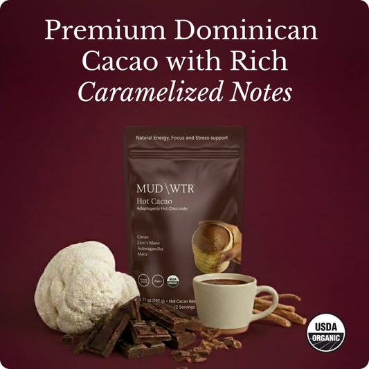 hot-chocolate-t9 Hot_Chocolate_Image_01.jpg