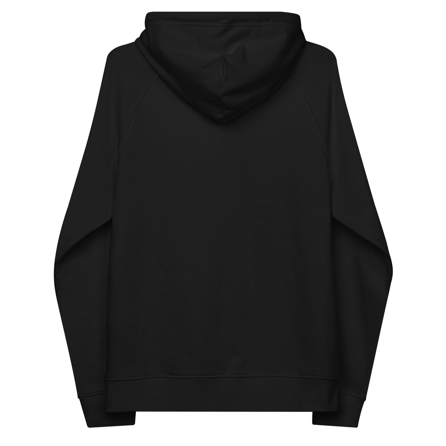 unlearn-relearn-hoodie-m3 unisex-eco-raglan-hoodie-black-back-647547b169f25.jpg