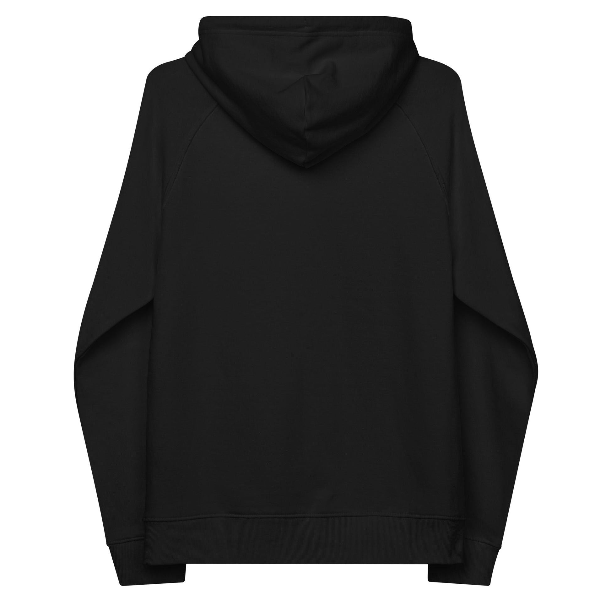 unlearn-relearn-hoodie-m3 unisex-eco-raglan-hoodie-black-back-647547b169f25.jpg